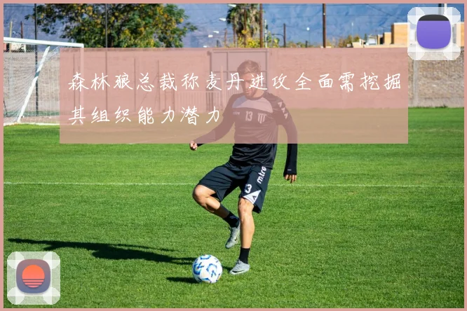森林狼总裁称麦丹进攻全面需挖掘其组织能力潜力